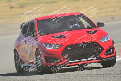 media/May-24-2025-Turn8 Trackdays (Sat) [[034586b55d]]/2 Advanced 1/Session 2 (Cotton Corners-Grapevine)/